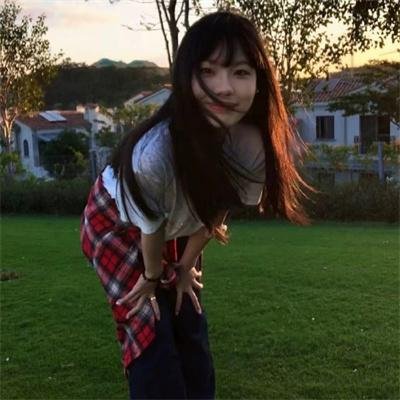 草丛里的羊